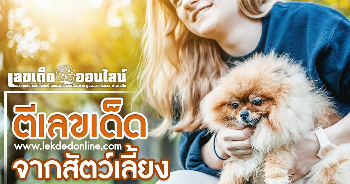 ตีเลขเด็ดจากสัตว์เลี้ยง