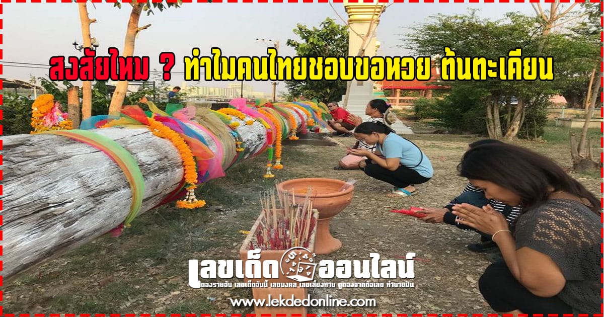 สงสัยไหม ? ทำไมคนไทยชอบไปขอหวยที่ต้นตะเคียน