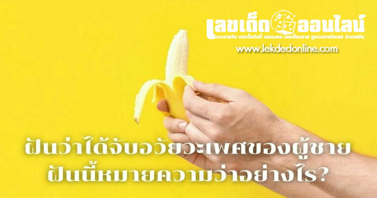 ฝันว่าได้จับอวัยวะเพศชาย หมายถึงอะไร พร้อมเลขเด็ด เสริมความปัง เสี่ยงโชค