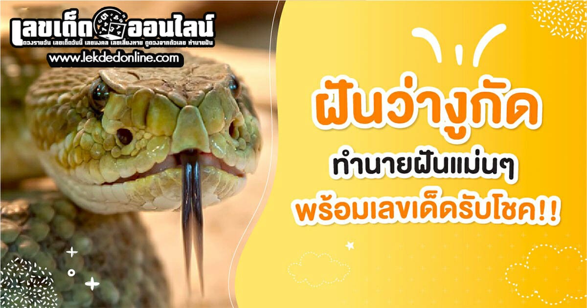 ฝันว่างูเห่ากัด หมายถึงอะไร พร้อมเลขเด็ด เสริมความปัง เสี่ยงโชค