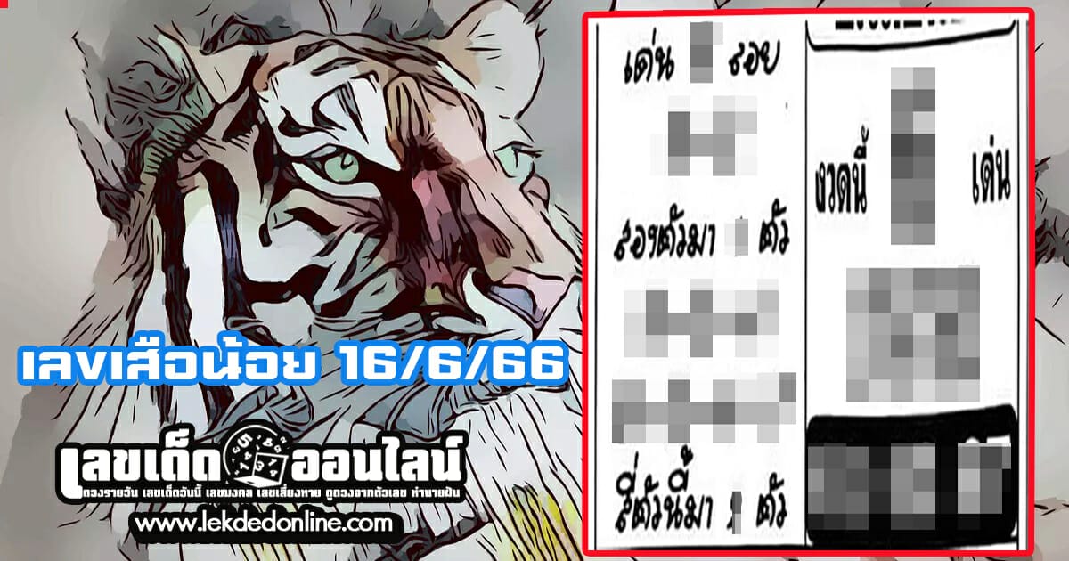 เลขเสือน้อย 16/6/66 กับแนวทางเลขเด่นหวยเด็ดสุดแม่น ดูได้ที่นี่